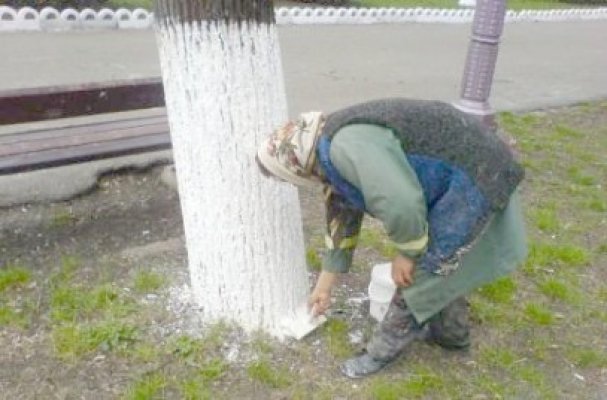 Primarul din Cerchezu şi-a pus angajaţii la treabă